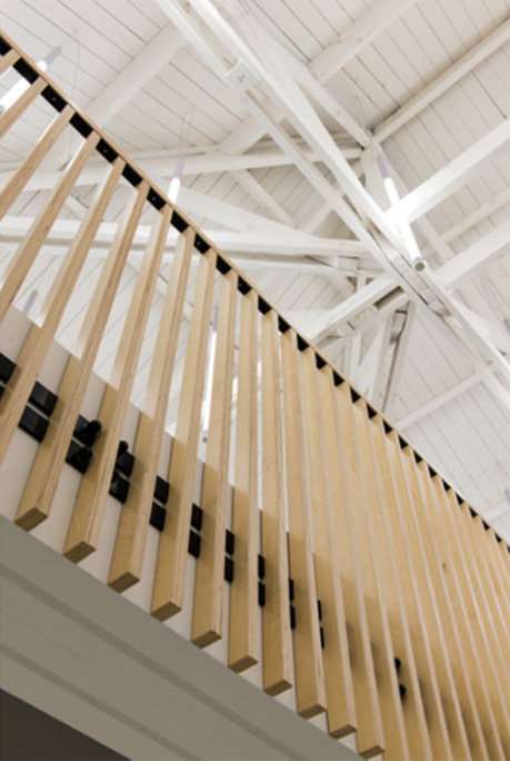Tentoonstellingsontwerp Gallo-Romeins Museum - plattegrond "Boom des Levens"